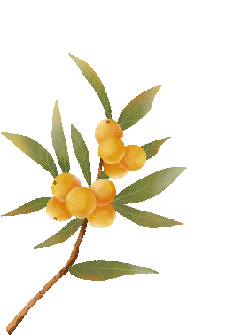 广西中考倒计时4天:中考生和家长这样准备更有效! 第41张