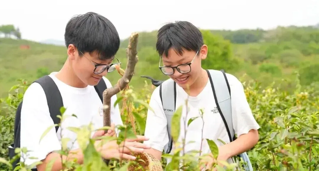 2026中考丨南京师范大学附属实验学校校长刘建:为人的成长创造最大空间 第51张