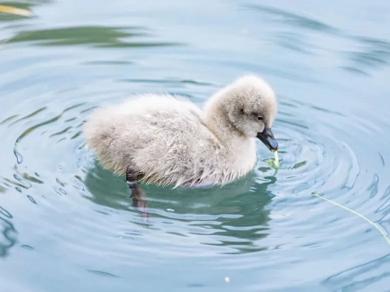 2026中考丨南京师范大学附属实验学校校长刘建:为人的成长创造最大空间 第72张