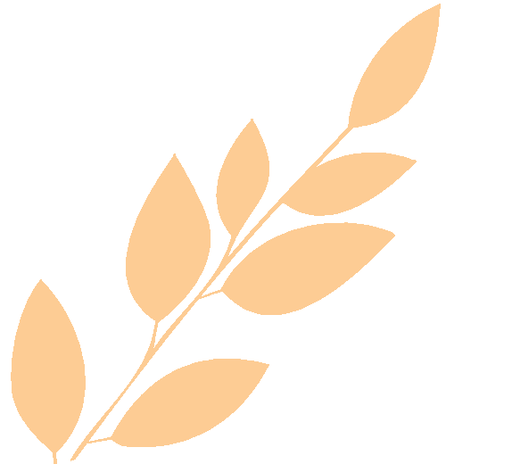 毕业 / 中考后才择校?你可能错失了这些关键机会! 第21张