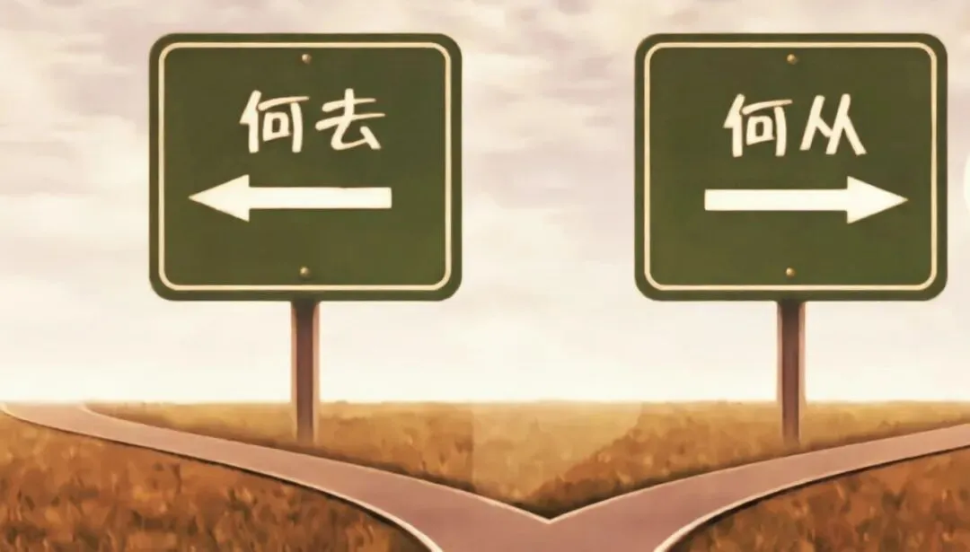 被热议的中考分流:不是孩子的分层,而是时代的焦虑 第1张