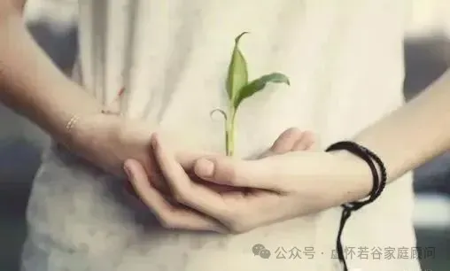 从“280分的中考逃兵”到“485分的普高生”:一个妈妈用90天换来的3个真相 第14张