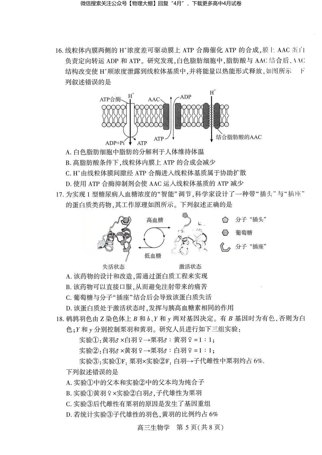 全科更新!2026届武汉高三四调试卷+答案,可下载! 第73张