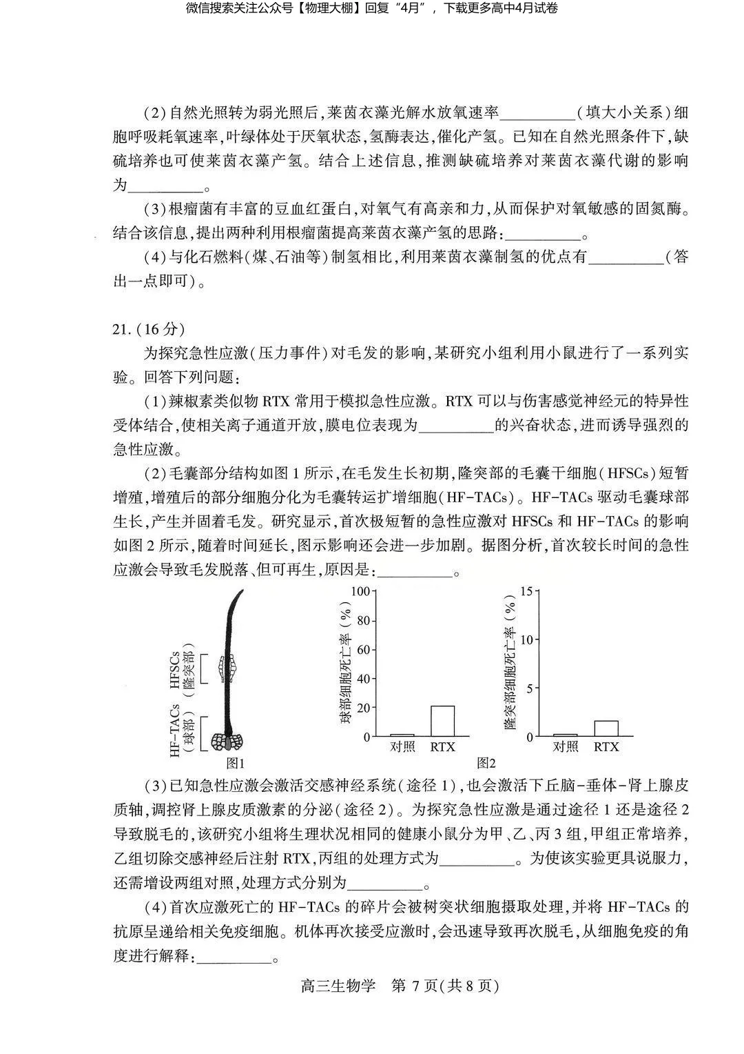 全科更新!2026届武汉高三四调试卷+答案,可下载! 第75张