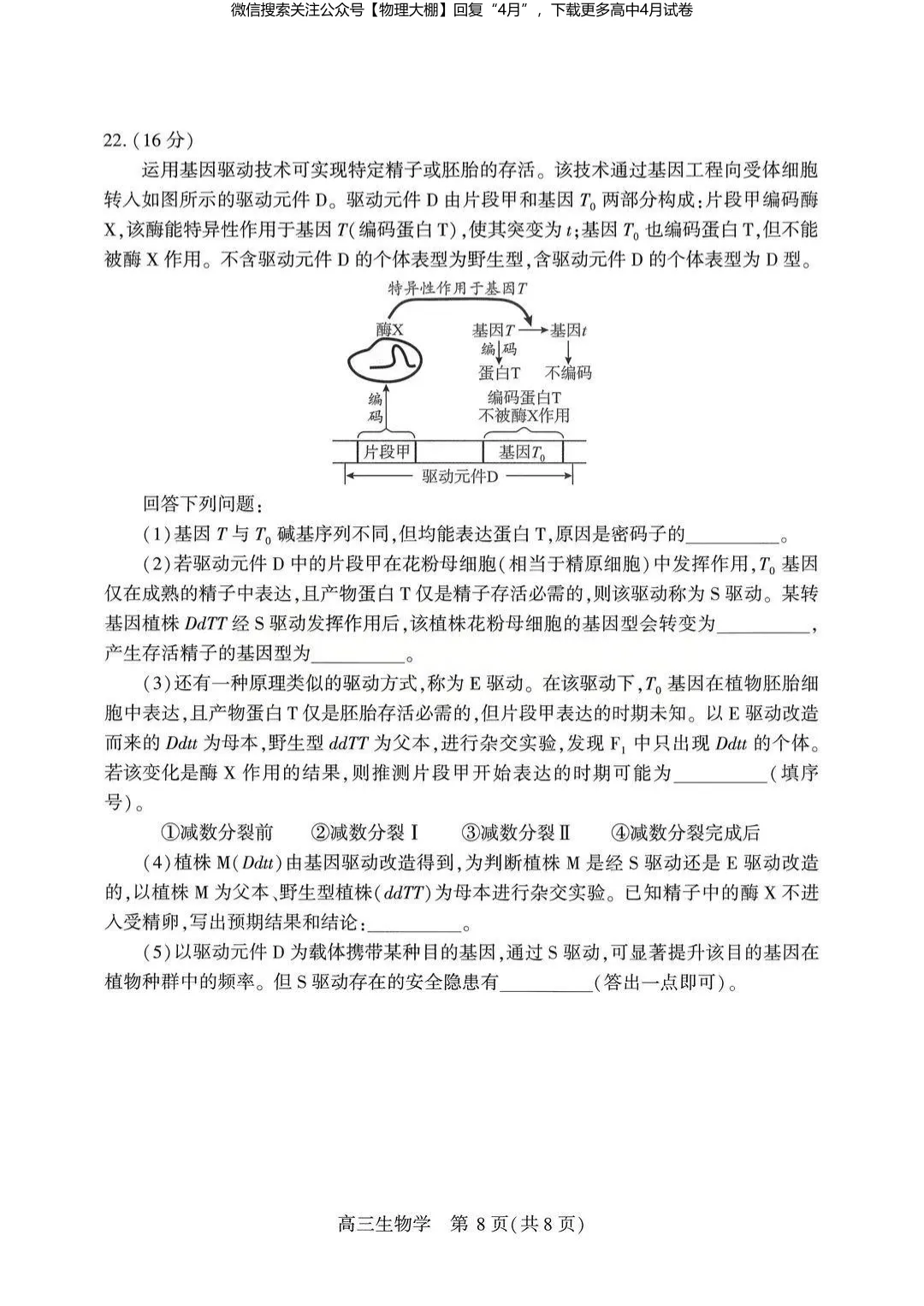 全科更新!2026届武汉高三四调试卷+答案,可下载! 第76张