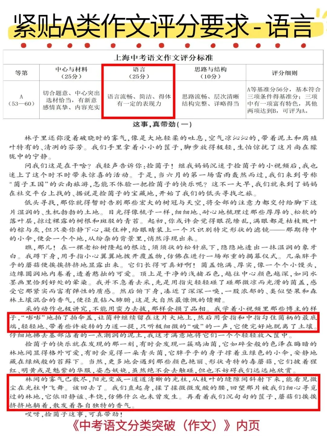 中考作文冲A类!10年真题,一题双范文,独特原创,多角度切入! 第18张