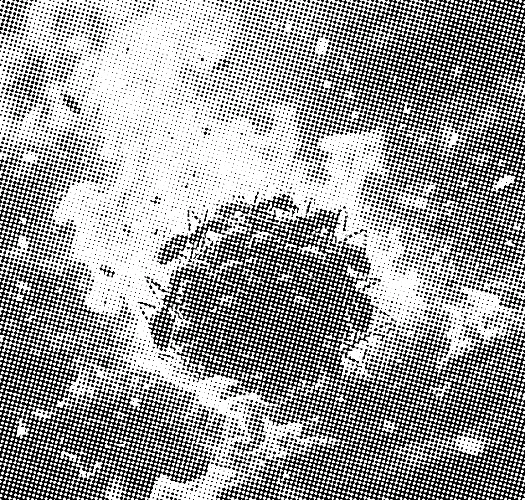 八下第六单元学情评估试卷(原题卷) 第7张