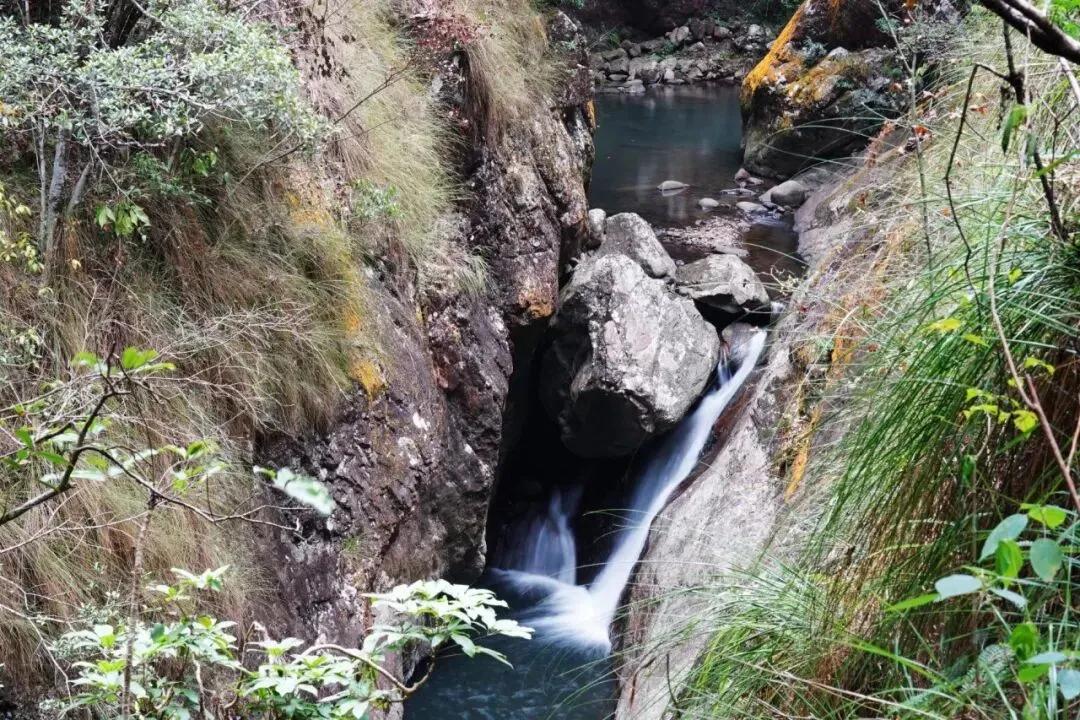 中考优秀作文:《这一次我是主角》(范文7篇) 第2张