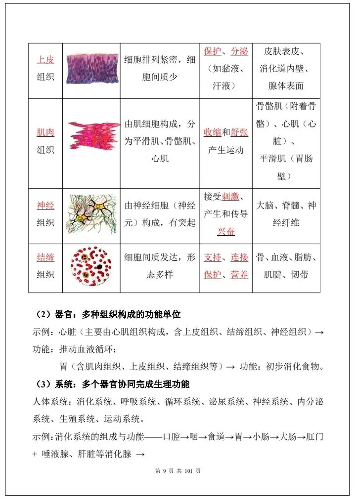 【中考生物】2026年生物会考必背考点汇总《108大考点全国通用》完整电子版可打印! 第17张