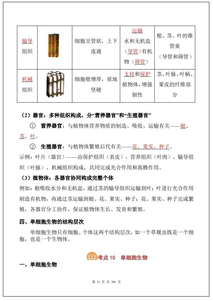 【中考生物】2026年生物会考必背考点汇总《108大考点全国通用》完整电子版可打印! 第19张
