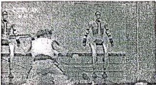 2026年河南省南阳市邓州市中招第一次模拟考试物理试卷 第2张