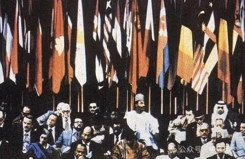 【备战中考历史】2026年中考历史二轮专题复习试卷:中华人民共和国重返联合国55周年(学生版) 第8张