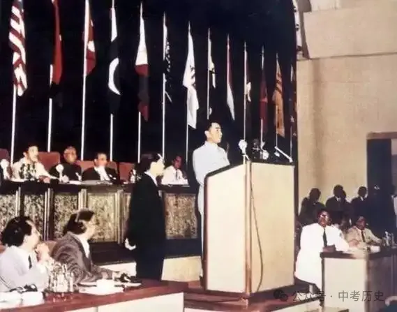 【备战中考历史】2026年中考历史二轮专题复习试卷:中华人民共和国重返联合国55周年(学生版) 第19张