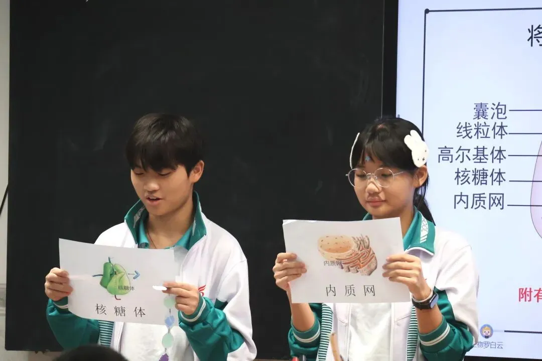 中考500-630分段的家长:别急着“躺平”,这家民办可能是你今年最大的惊喜! 第14张