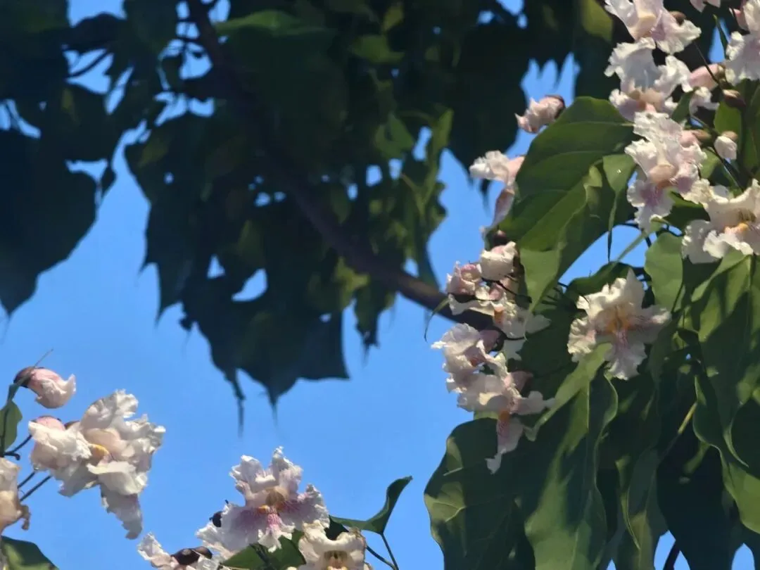 26春八下丨中考篇目《北冥有鱼》强化练习(4月30日 打卡版) 第1张