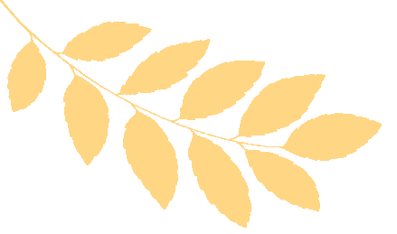 “铸剑杯”期中考放榜,战况如何? 第3张