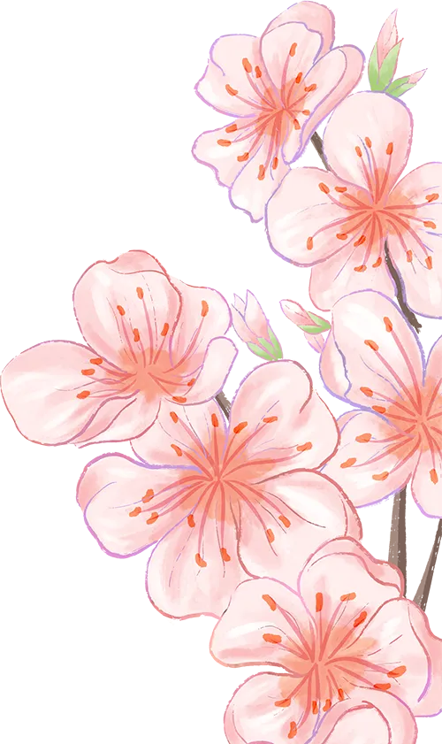 “铸剑杯”期中考放榜,战况如何? 第4张