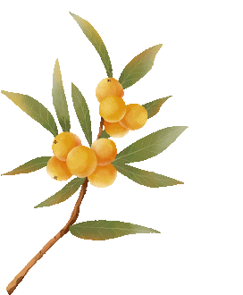 广西中考倒计时4天:中考生和家长这样准备更有效! 第6张