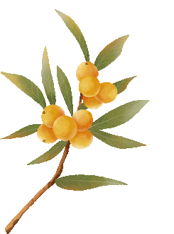 广西中考倒计时4天:中考生和家长这样准备更有效! 第7张