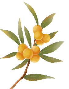 广西中考倒计时4天:中考生和家长这样准备更有效! 第34张