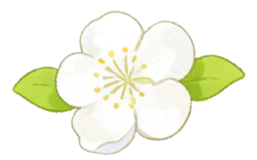 聚焦新课标 聚力备中考——芜湖市初中道德与法治中考备考研讨活动在芜湖市第十一中学城东校区顺利开展 第14张