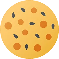 上海五年级小升初名校分班考真题语数英预测题免费分享 第3张