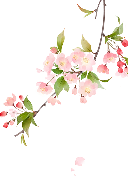 城南·悦教研 | 2026年天心区英语中考复习研讨活动(二)在我校顺利举行 第2张