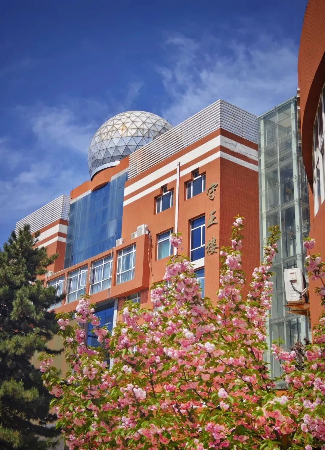 @全体初三生!中考高分密码在这里!学霸学长学姐私藏答题技巧大公开(二) 第9张