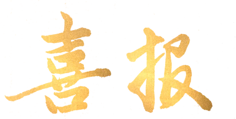 2026年奥星学子中考体育喜报!!! 第15张