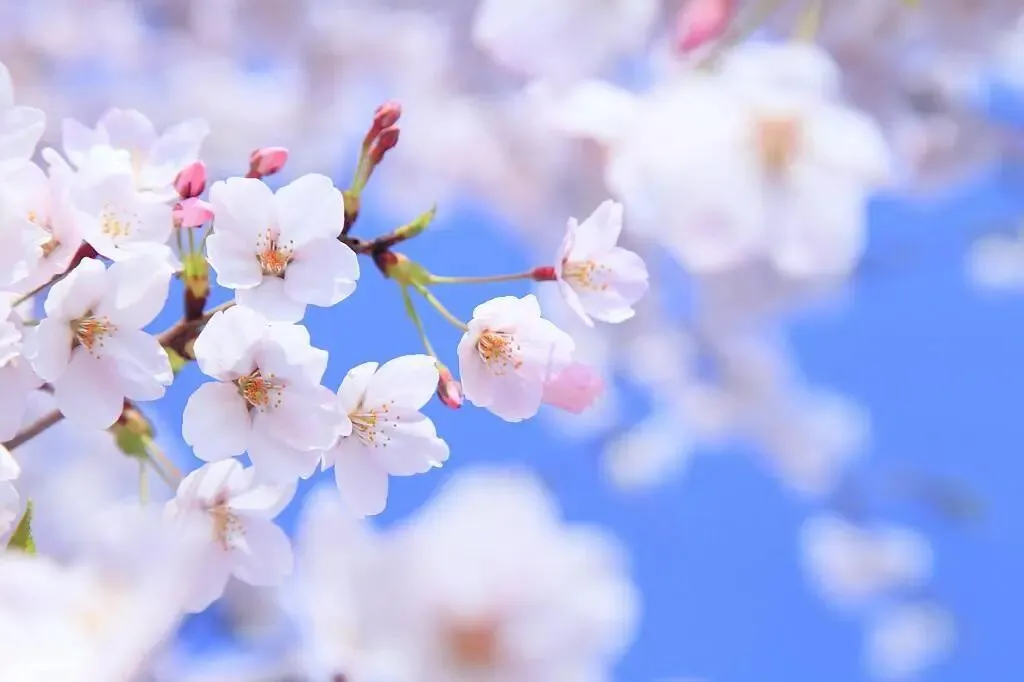 【青青草】9182名师随笔|袁瑶:中考倒计时里的无奈 第3张