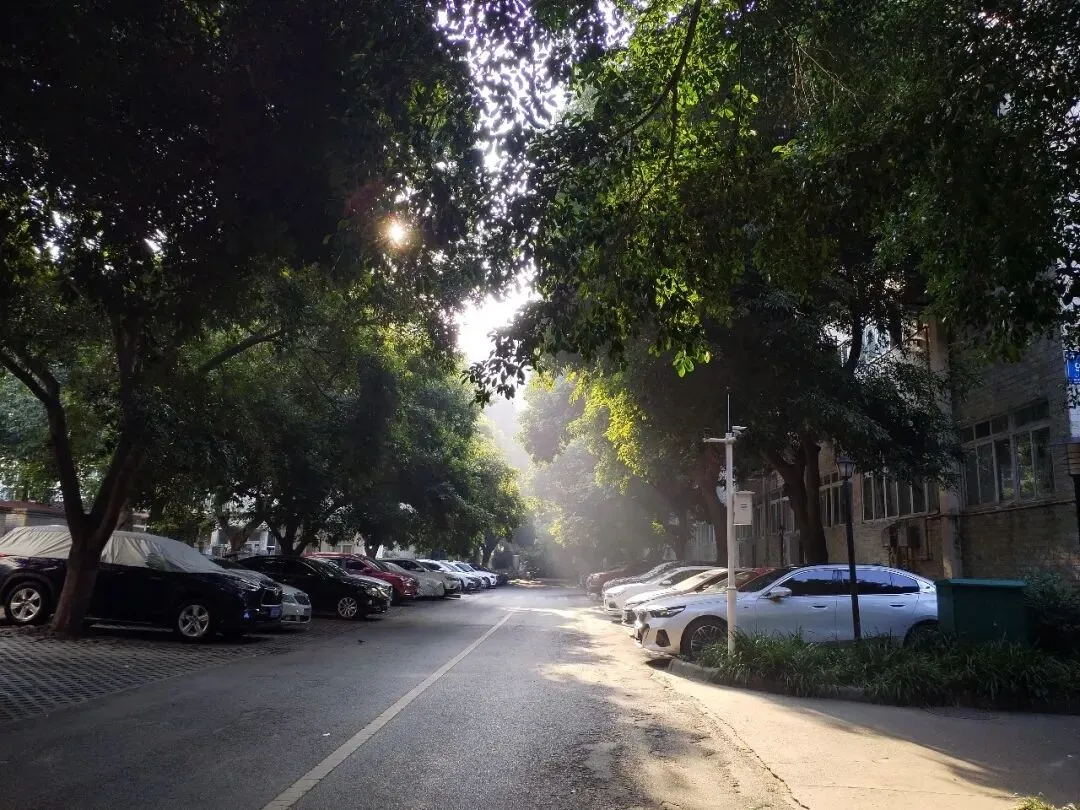 外地户口怎么在成都上学,中考和高考要回户口所在地吗?今天就来搞清楚这些问题吧! 第3张