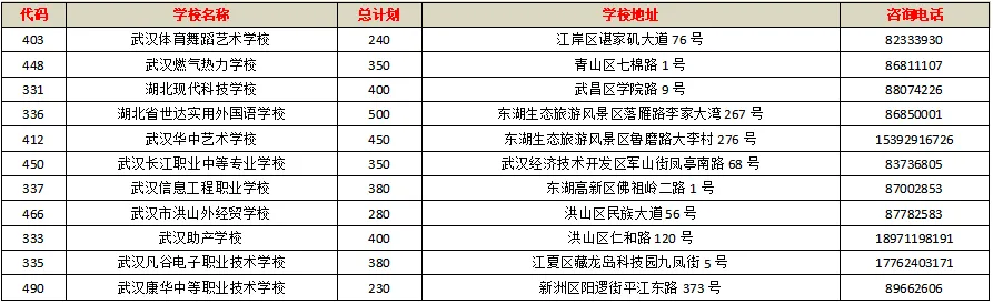速存!2026武汉中考第四批志愿:综合高中·中职·特教·技校一文搞定 第3张