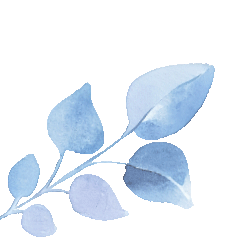 【中考专题】为心赋能,从容应考——初三毕业班的心理健康讲座 第2张