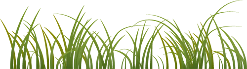 2026年苏州中考一模物理/数学真题 第5张