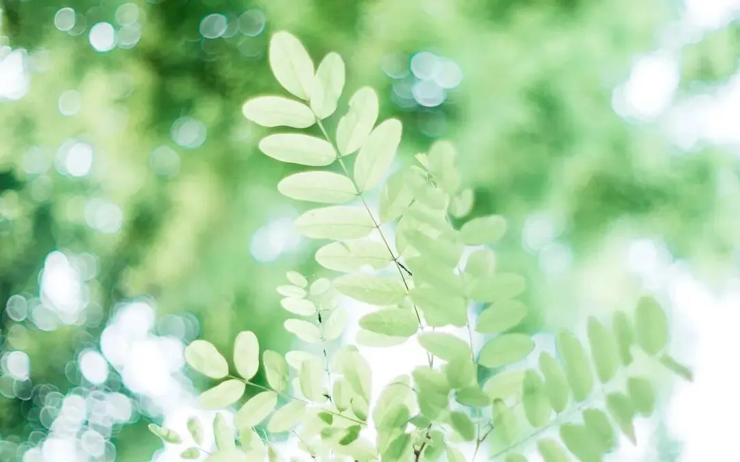 2026中考押题作文《醒来》写作指导 第4张