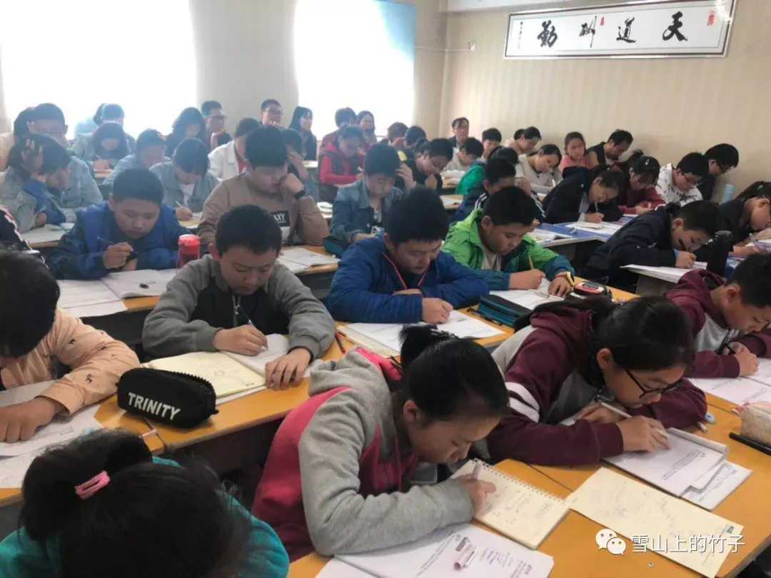 枫杨真题 第二讲 每日一练 第4天(视频) 第58张