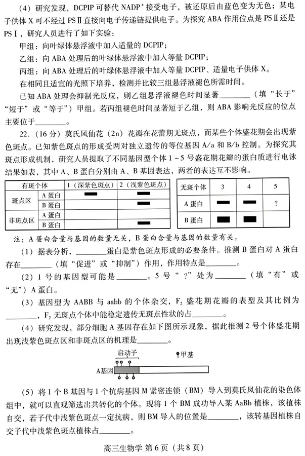 山东省潍坊巿2026年4月高考模拟考试生物试卷 第7张