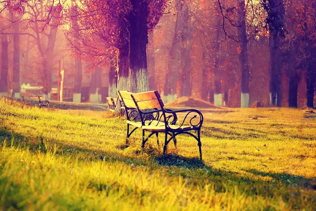 全新篇章:《为什么我的高考试卷总是白纸啊?》最新章节阅读 第2张