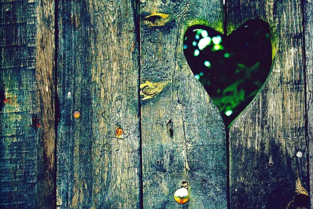 全新篇章:《为什么我的高考试卷总是白纸啊?》最新章节阅读 第4张