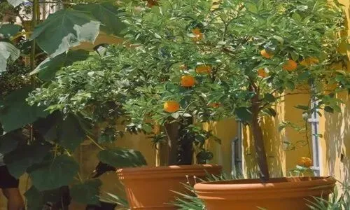 全新篇章:《为什么我的高考试卷总是白纸啊?》最新章节阅读 第8张