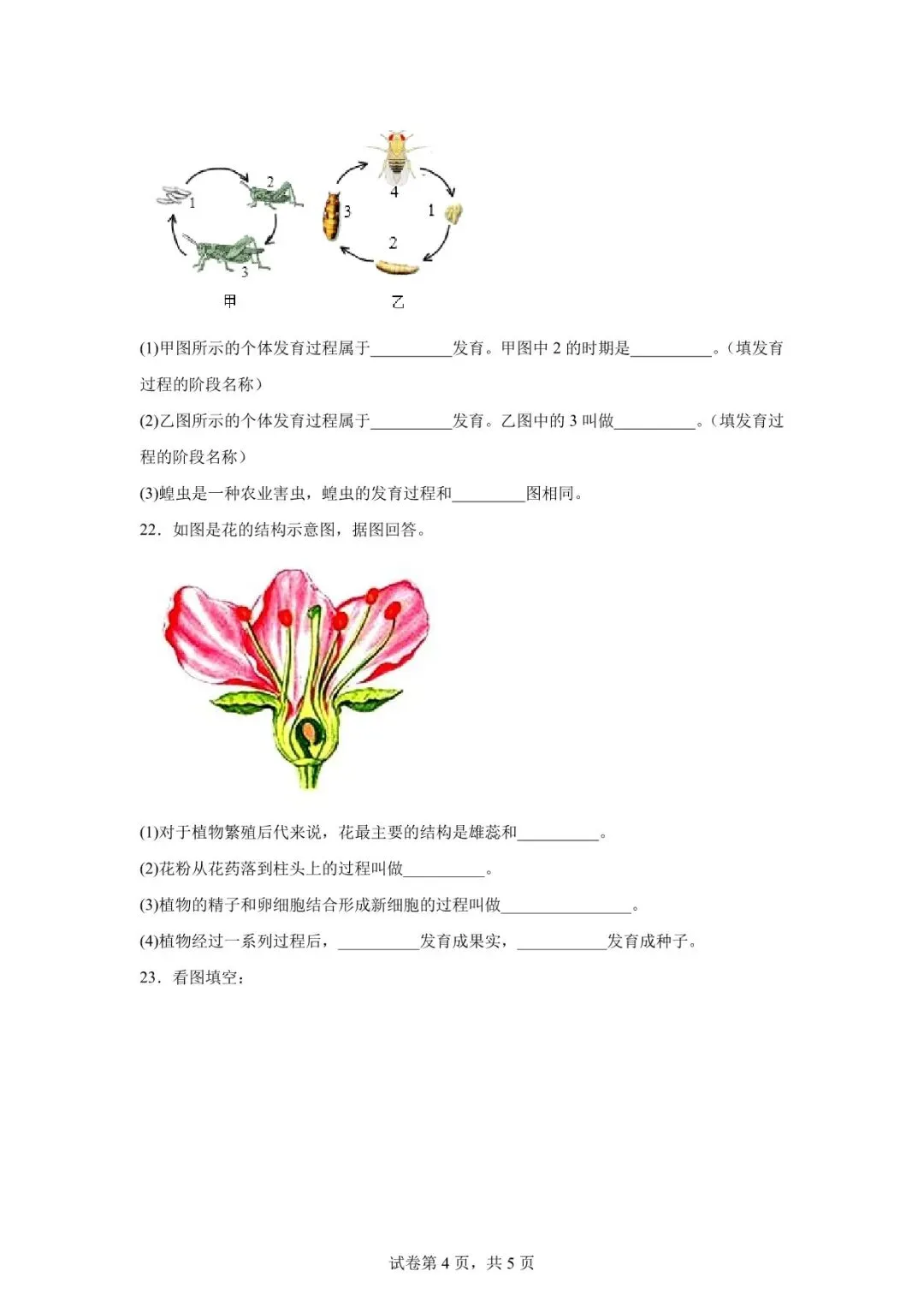2026年定西市安定区中考二模生物试卷 第4张