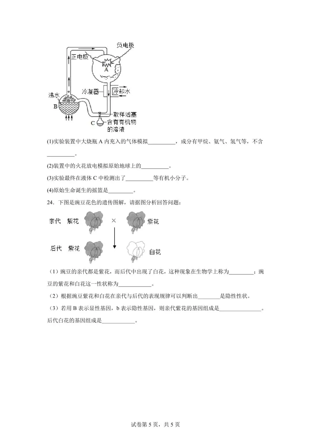 2026年定西市安定区中考二模生物试卷 第5张