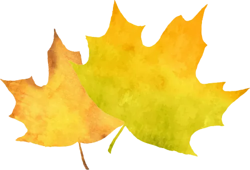 陕西师范大学2027考研真题和资料 | 陕西师范大学学科教学数学考研825数学分析高等代数答案笔记习题!学长学姐强推 第7张