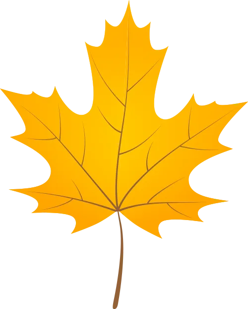 陕西师范大学2027考研真题和资料 | 陕西师范大学学科教学数学考研825数学分析高等代数答案笔记习题!学长学姐强推 第24张