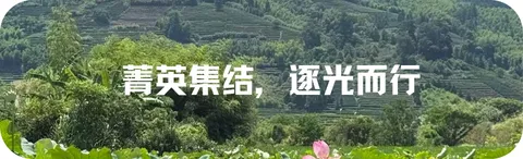 四六级备考摸不着北?校会君带模拟考来救场啦! 第16张