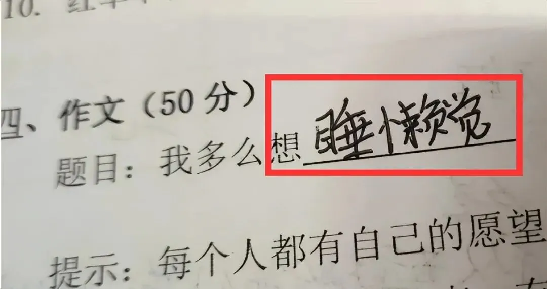 小学生“倒数第一试卷”走红,老师:这孩子智商太高,我教不了 第8张