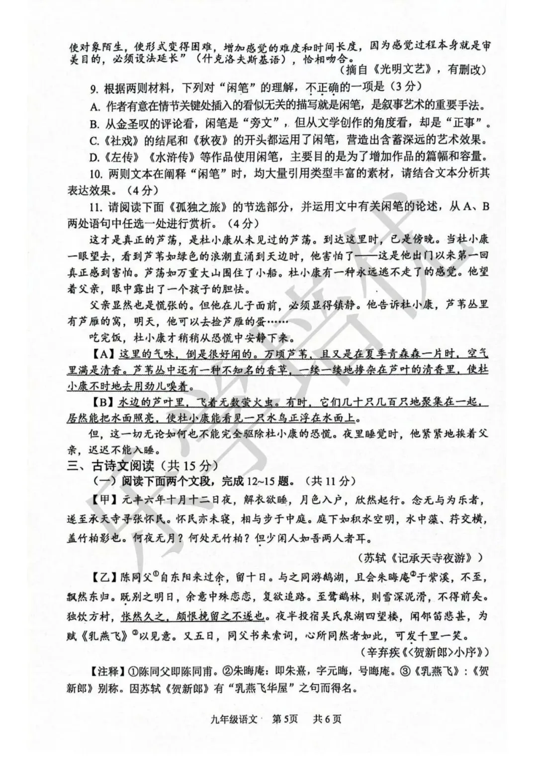 2026年安阳中考一模(语文)试卷及参考答案 第5张