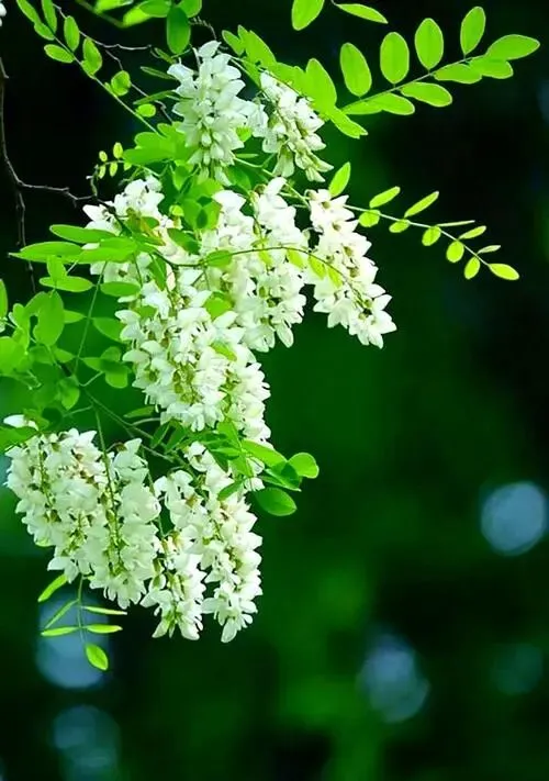 2026年中考模拟考试化学试题23 第7张