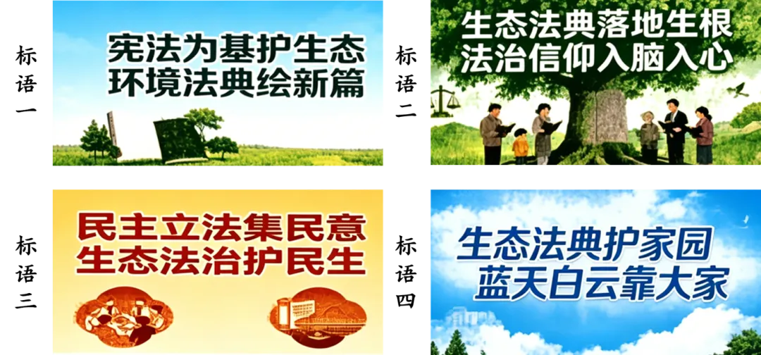 2026年中考道法时政热点专练19C:中华人民共和国生态环境法典 第3张