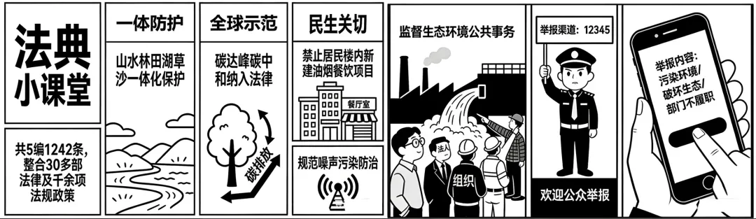 2026年中考道法时政热点专练19C:中华人民共和国生态环境法典 第4张